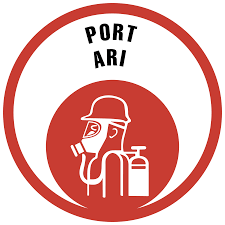 icone ARI