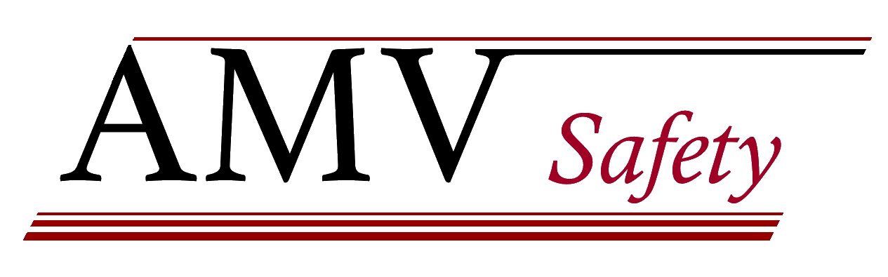 logoamv_2